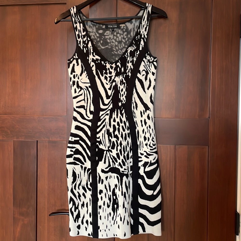 Teri Jon cocktail dress/bodycon style